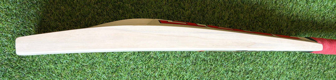 MRF Prince Edition Cricket Bat | New Model