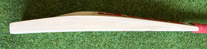 MRF Prince Edition Cricket Bat | New Model