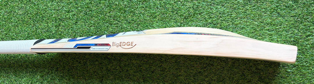 TON Players Pro Cricket Bat | Phil Salt | New Model