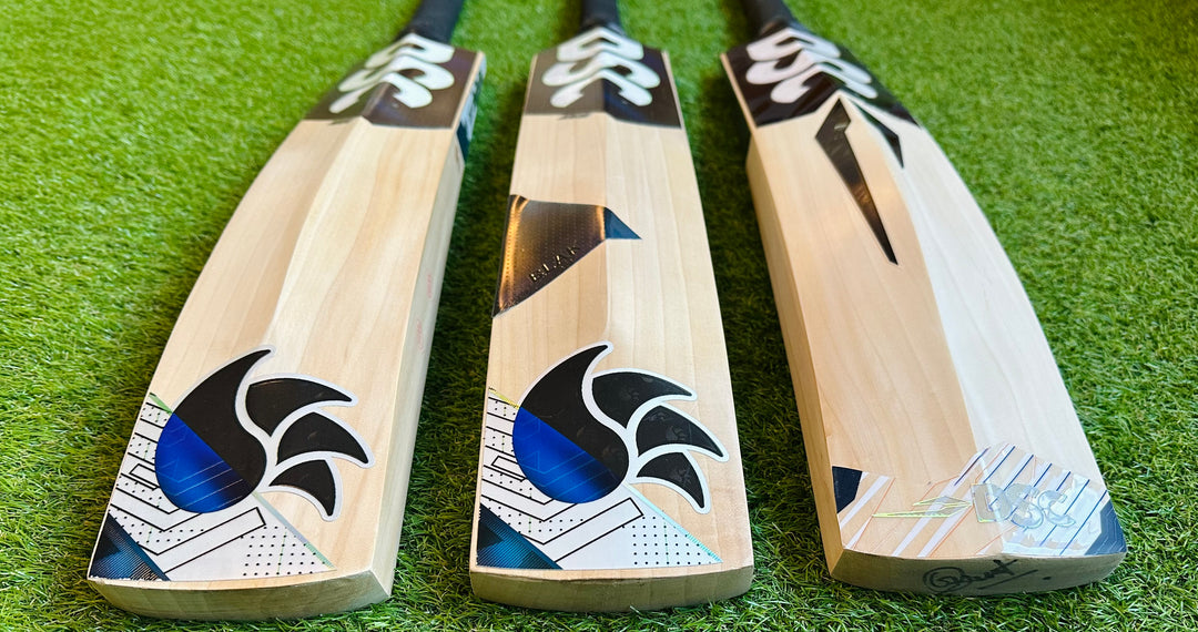 DSC Blak 350 Cricket Bat