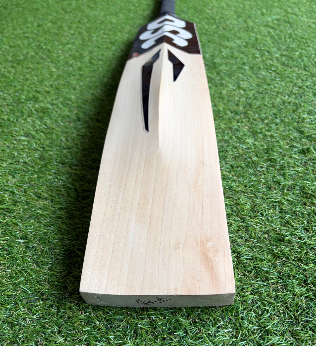 DSC Blak 450 Cricket Bat