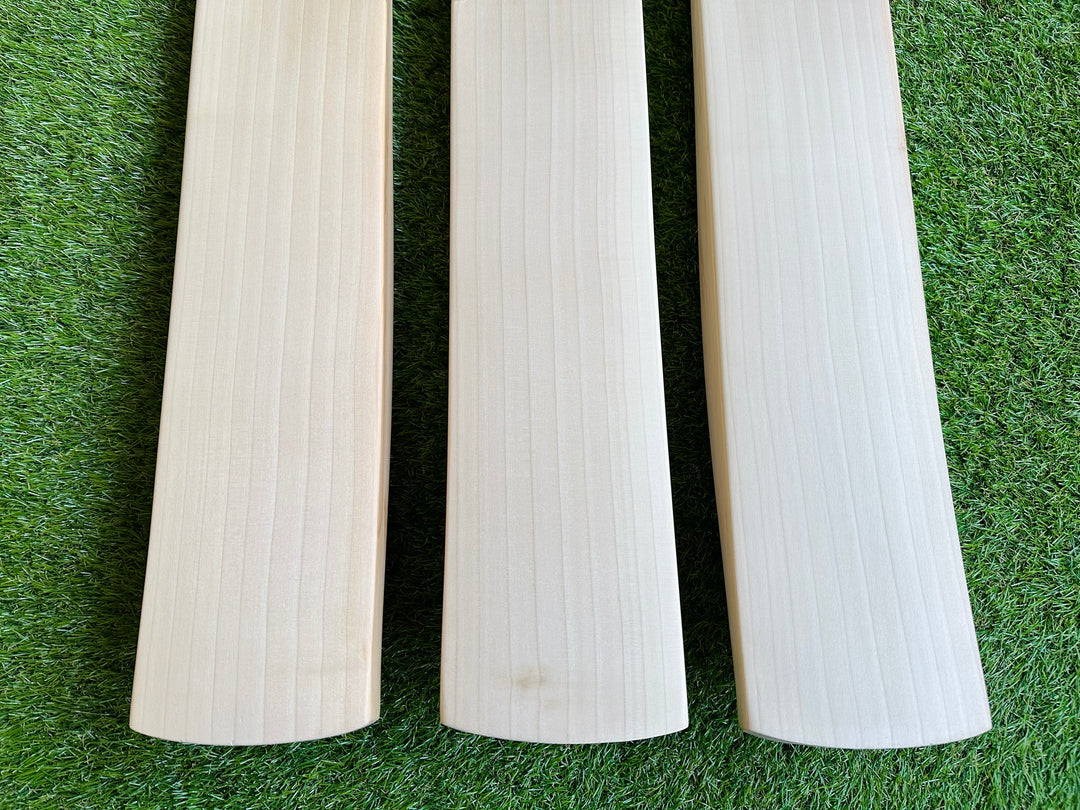 Plain Players Grade 1+ Cricket Bat | Duckbill Profile | 40mm Edges