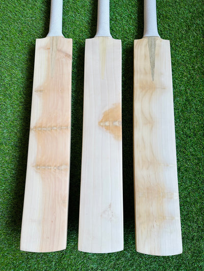 Plain Butterfly English Willow Cricket Bat