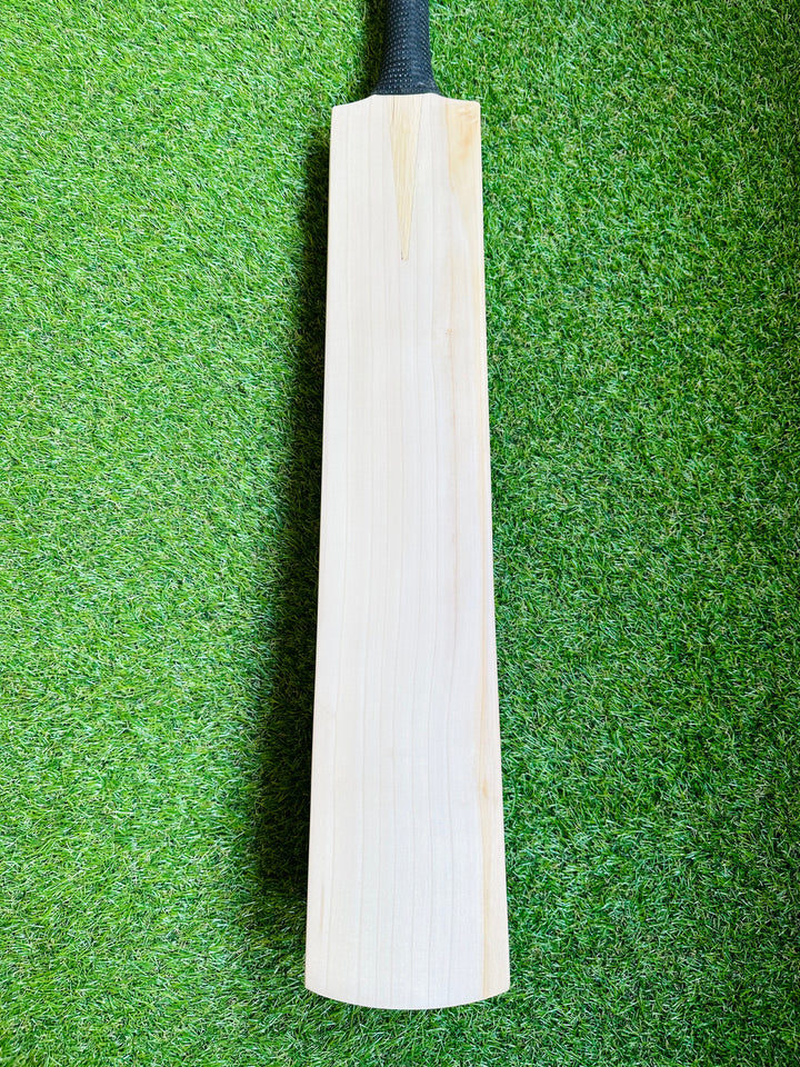 Plain Sachin Tendulkar Profile Cricket Bat 