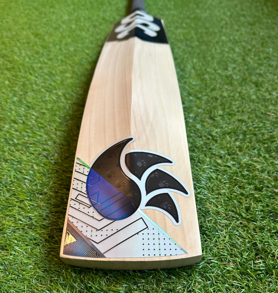 DSC Blak 400 Cricket Bat 