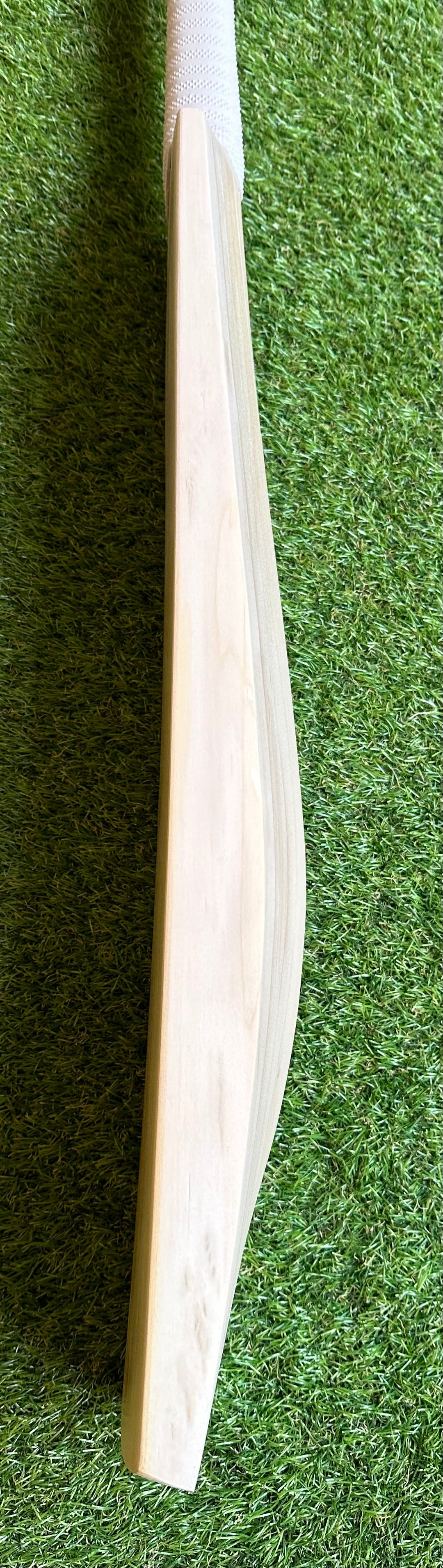 Plain Grade 1 English Willow Cricket Bat | Long Handle