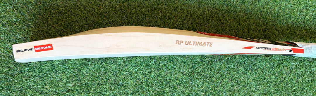 SG RP Ultimate Cricket Bat | New Model