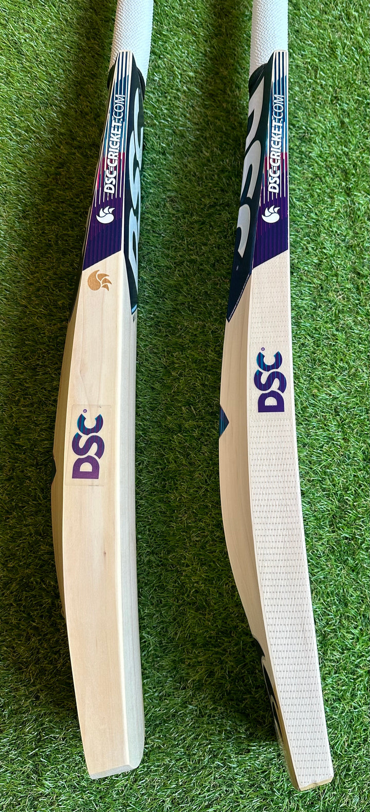 DSC Blu 100 Cricket Bat