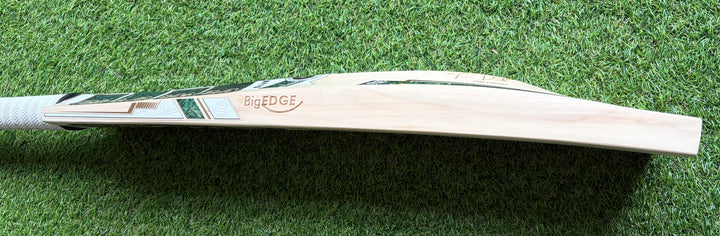 TON Players Pro Cricket Bat | Tim David | New Model