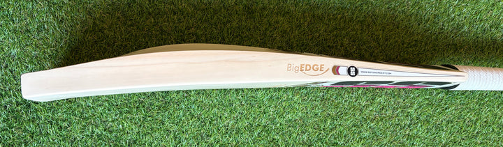 SS TON Players 2000 Edition Cricket Bat 