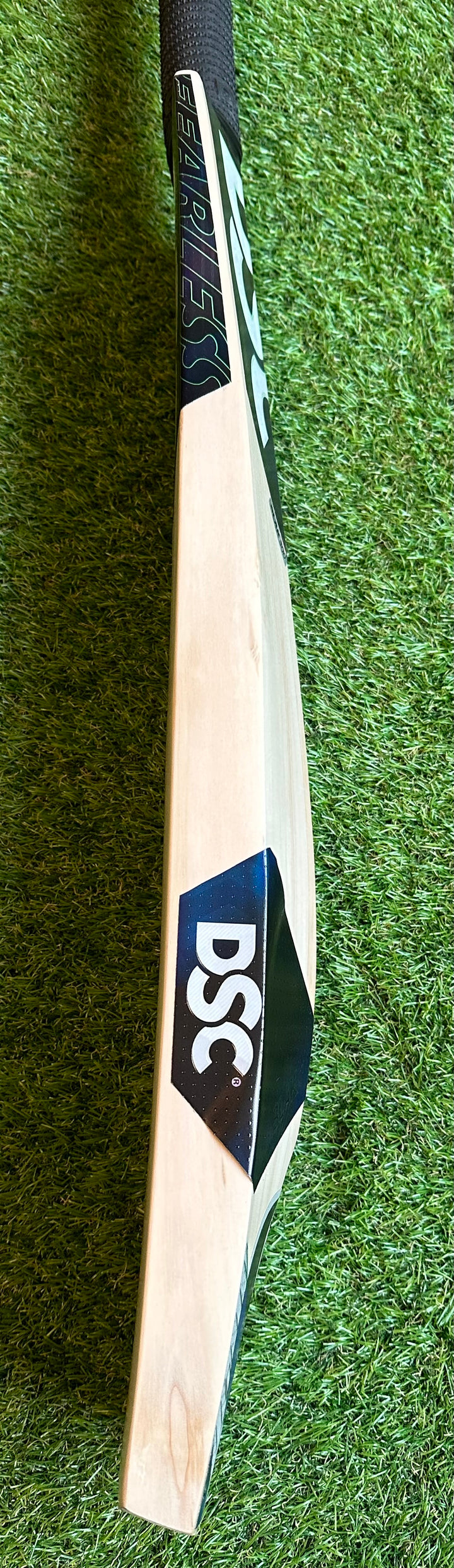DSC Blak 300 Cricket Bat