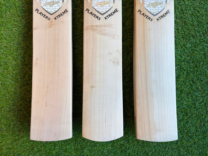 SG Players Xtreme Cricket Bat