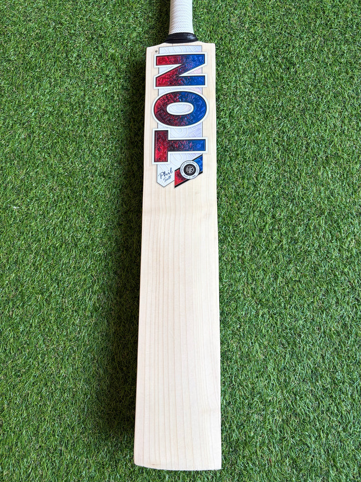 SS TON Phil Salt Players Cricket Bat | Size 6