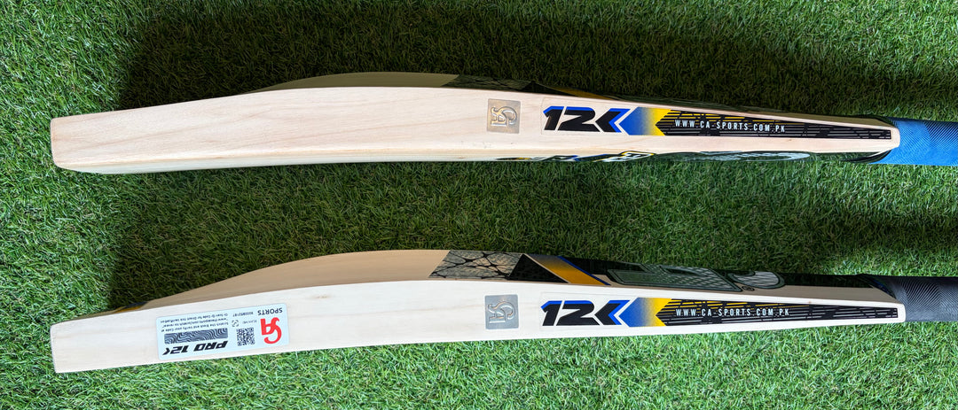 CA 12000 Pro Edition Cricket Bat