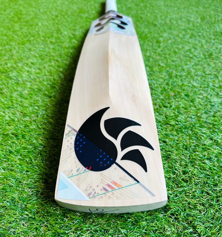 DSC Condor Glider Cricket Bat