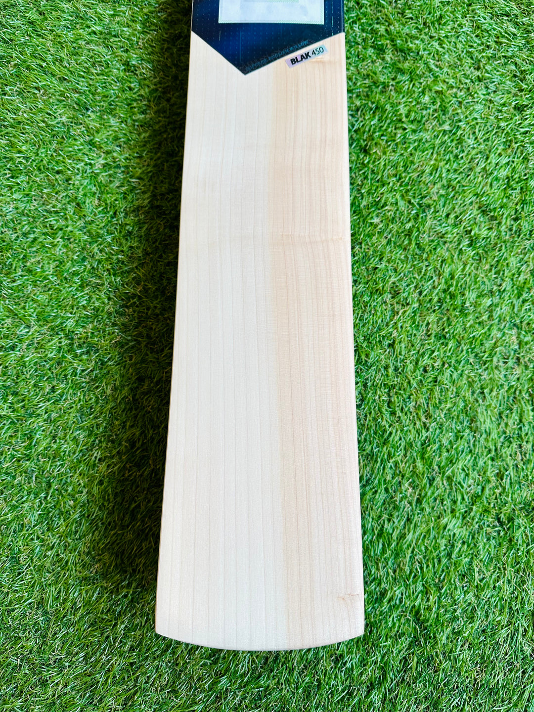 DSC Blak 450 Cricket Bat