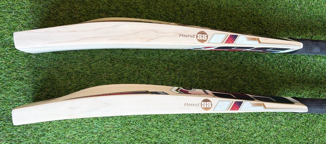 SS TON Gladiator Cricket Bat | New Model