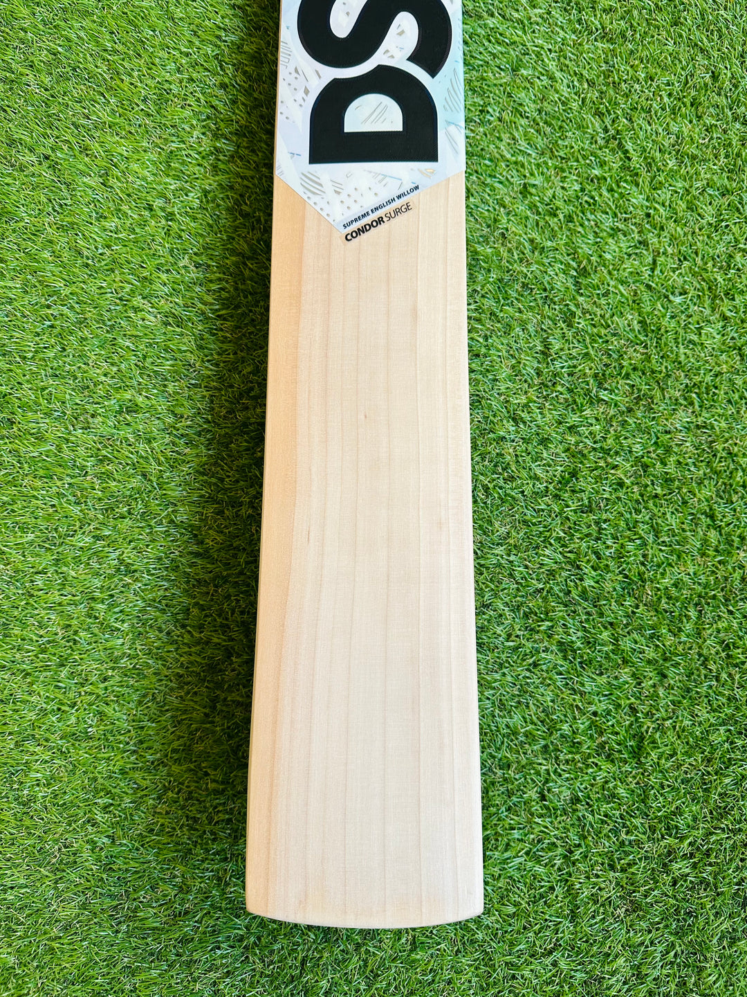 DSC Condor Surge Cricket Bat