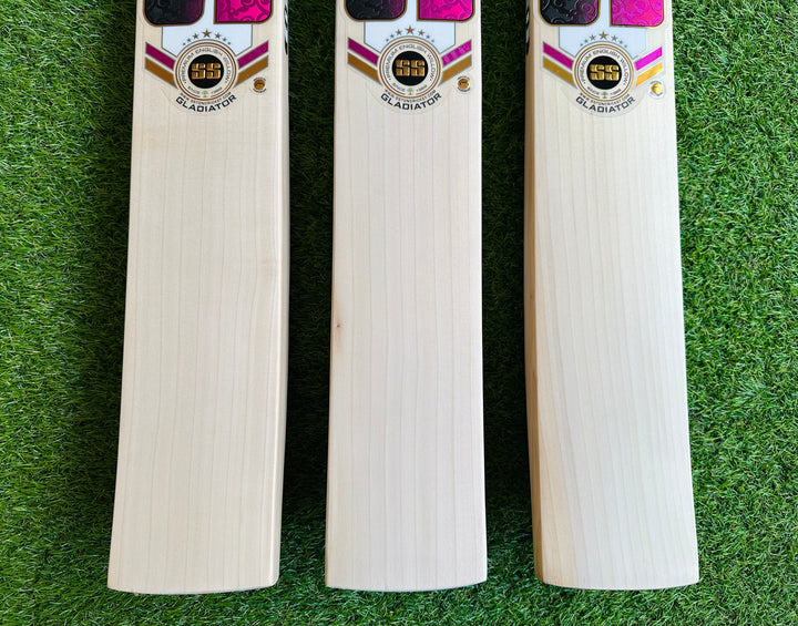 SS TON Gladiator Cricket Bat | Size 6