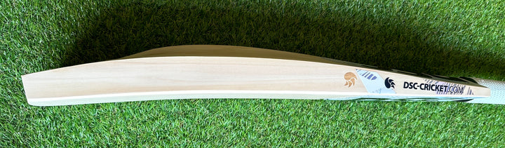 DSC Condor Glider Cricket Bat