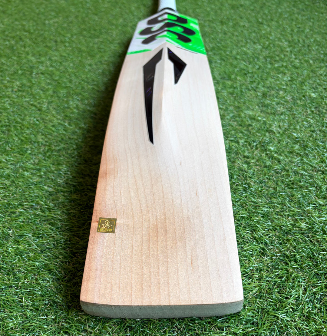DSC Spliit 450 Cricket Bat
