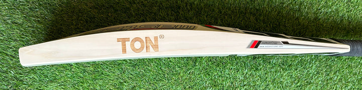 SS TON Master 5000 Cricket Bat