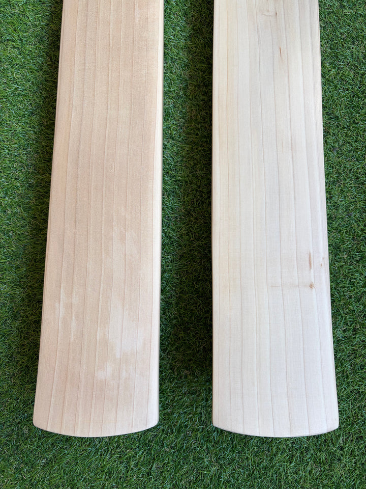 Plain Grade 1 English Willow Cricket Bat | Duckbill Profile
