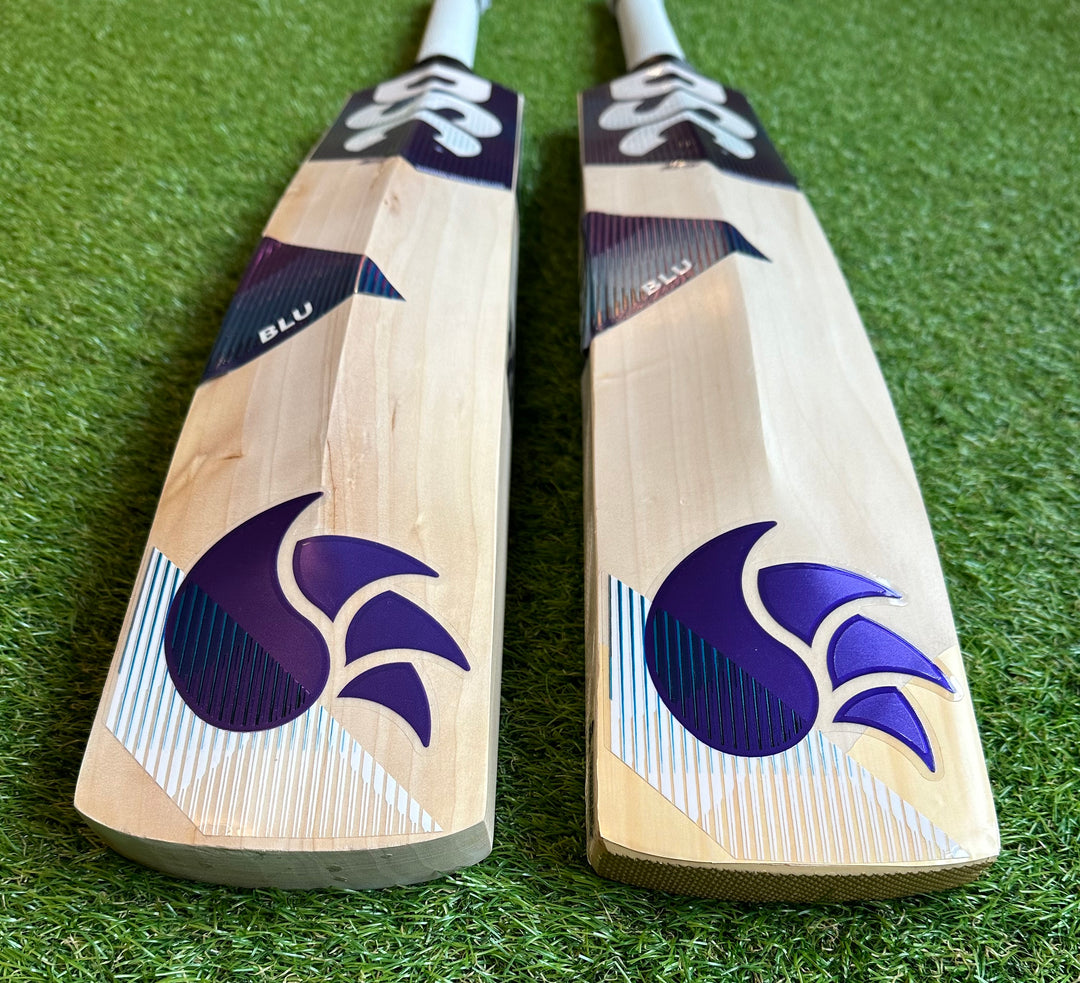 DSC Blu 100 Cricket Bat