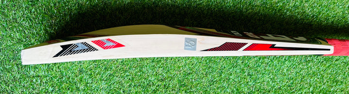 CA 12000 Pro Edition Cricket Bat