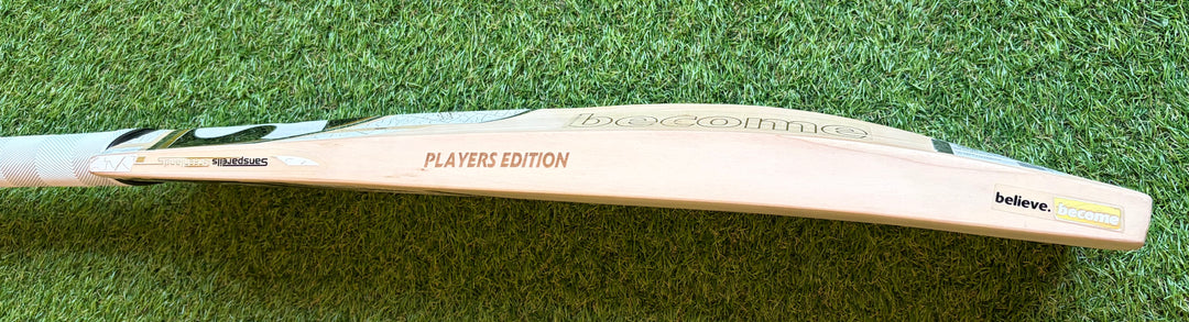 SG Players Gold Edition Harrow Cricket Bat