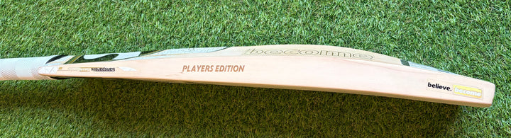 SG Players Gold Edition Harrow Cricket Bat