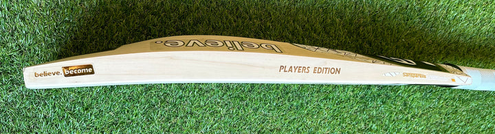SG Players Edition Cricket Bat |  Size 6