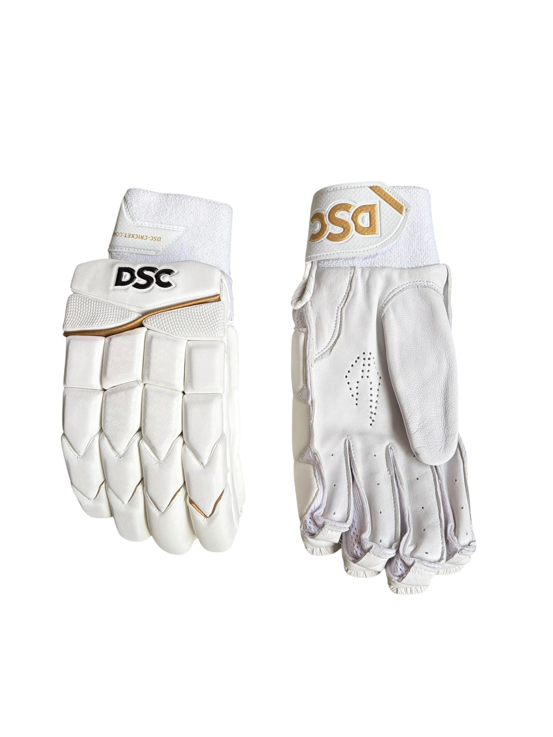 DSC Xlite 1.0 Cricket Batting Gloves