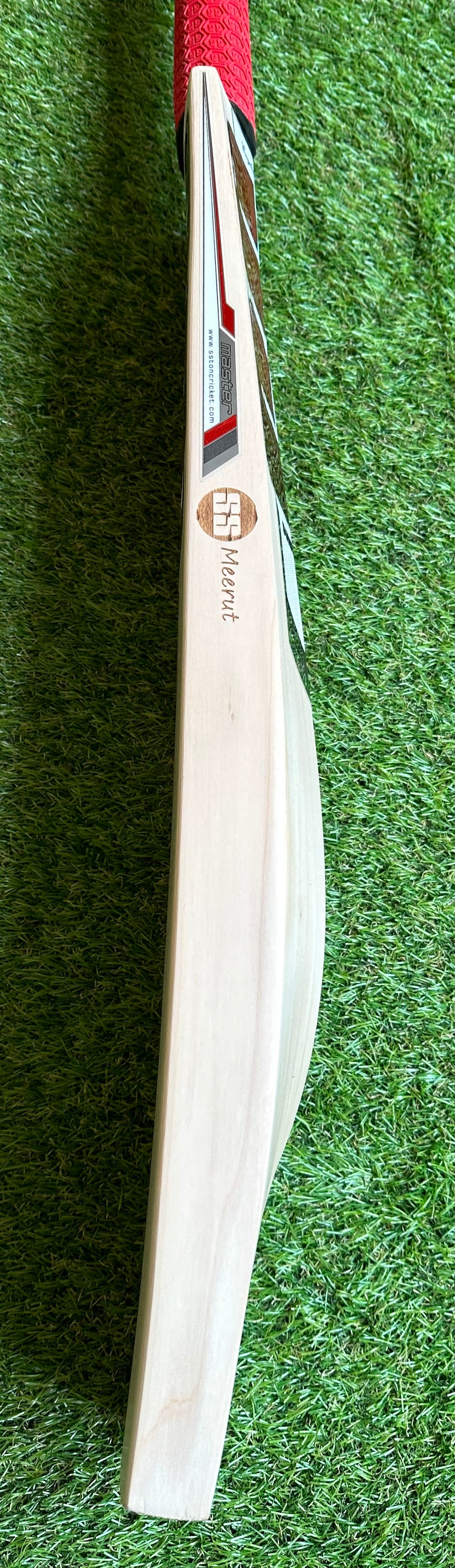 SS TON Master 9000 Cricket Bat