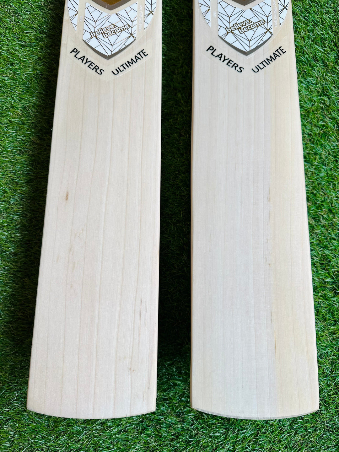 SG Players Ultimate Cricket Bat