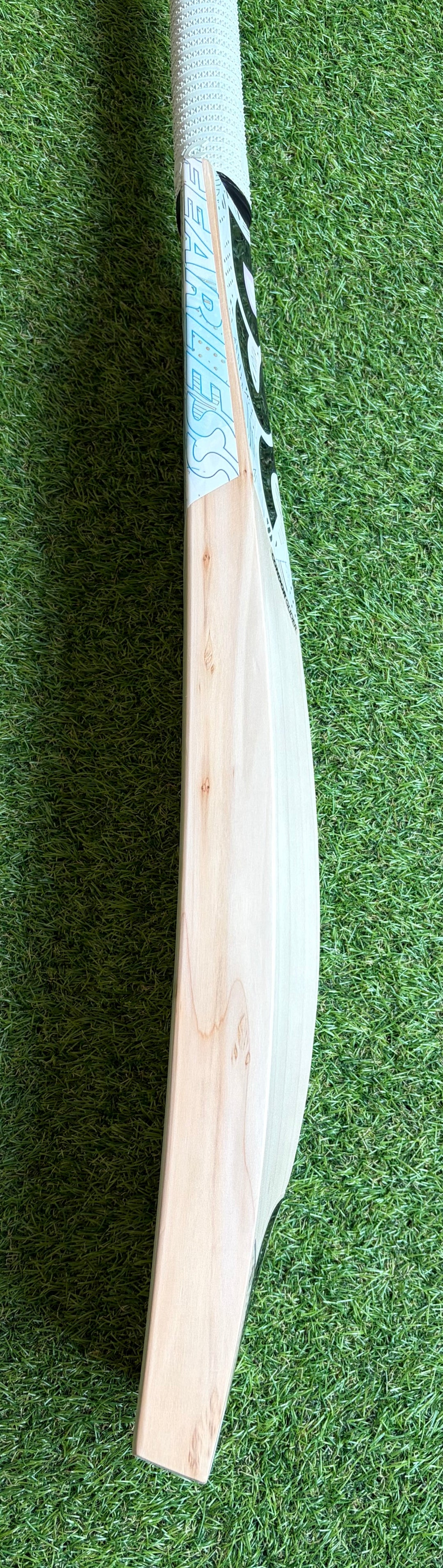 DSC Condor Glider Cricket Bat