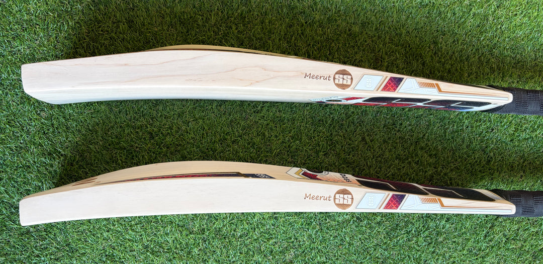 SS TON Gladiator Cricket Bat | New Model