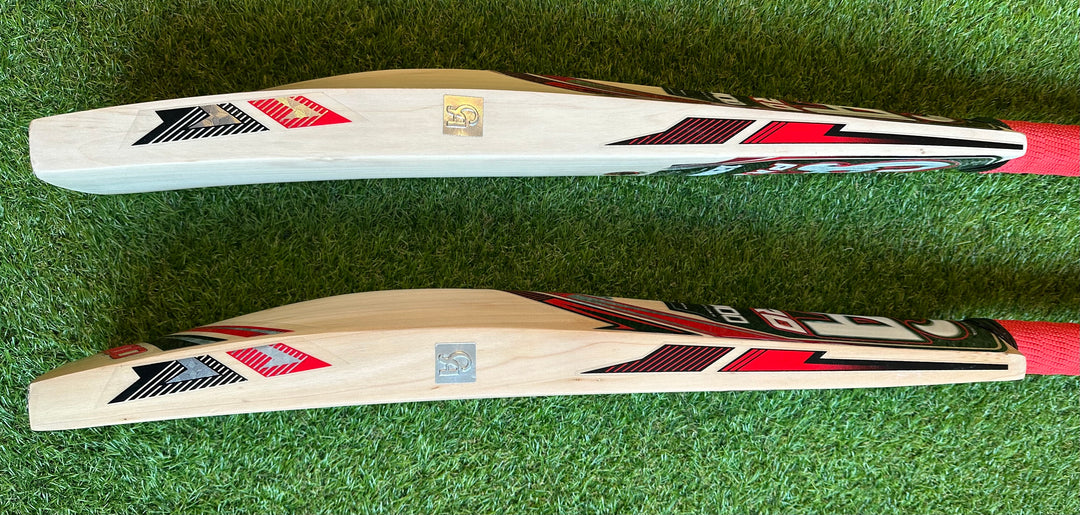 CA 12000 Pro Edition Cricket Bat