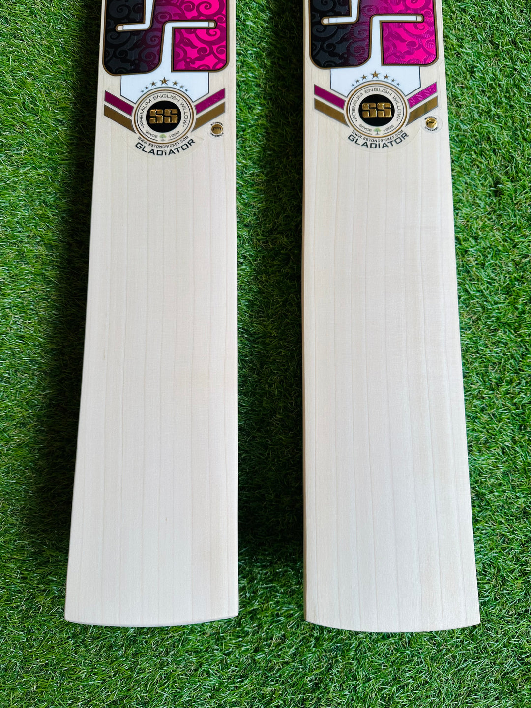 SS TON Gladiator Cricket Bat