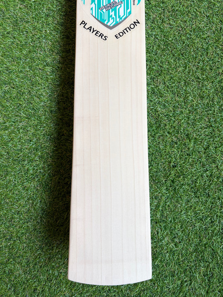 SG Players Edition Cricket Bat | New Model