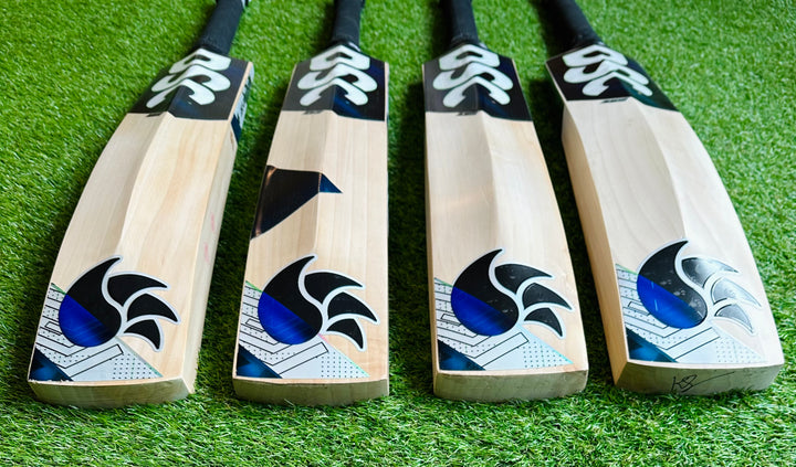 DSC Blak 350 Cricket Bat