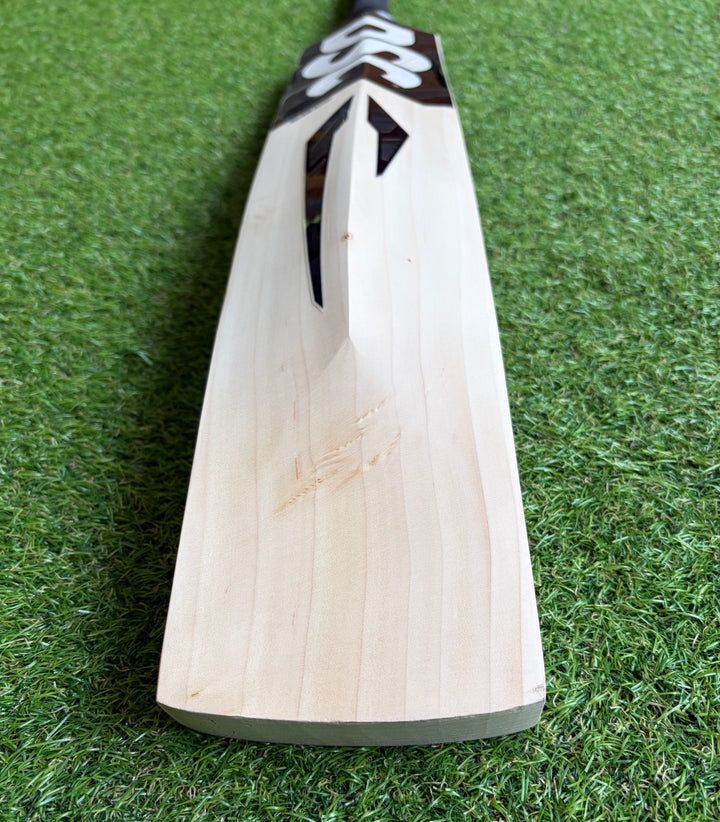 DSC Blak 400 Cricket Bat