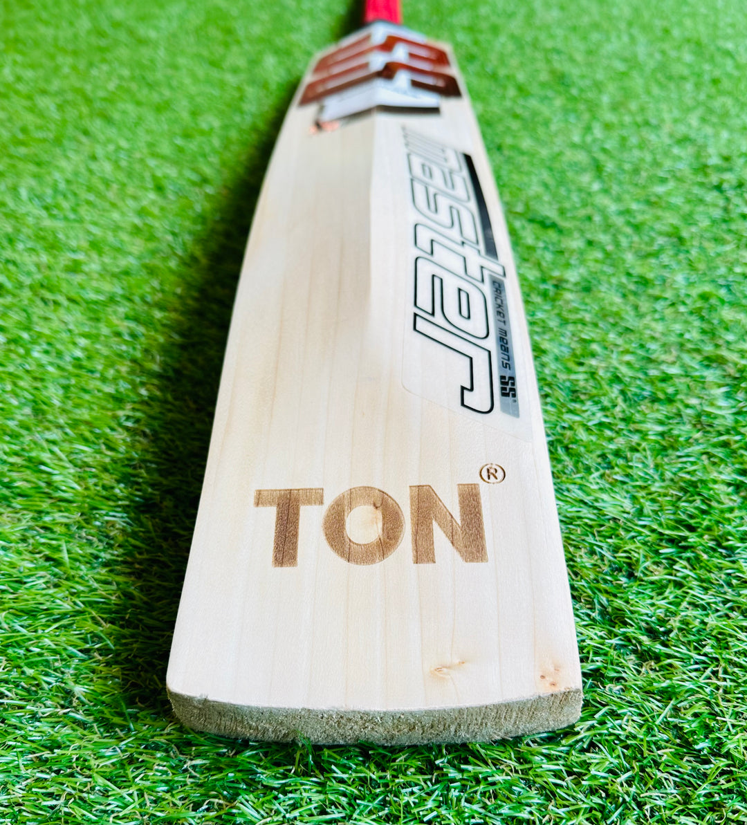 SS TON Master 9000 Cricket Bat