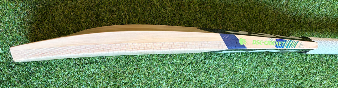 DSC Blu 100 Cricket Bat