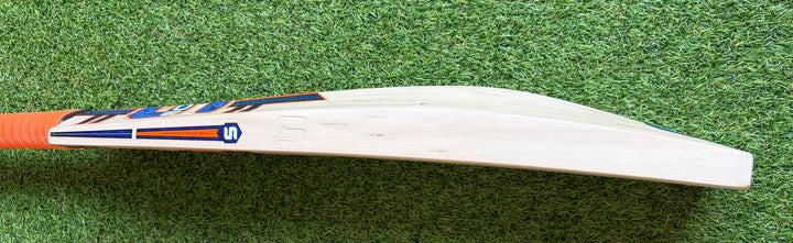 Somi MSD Player Cricket Bat