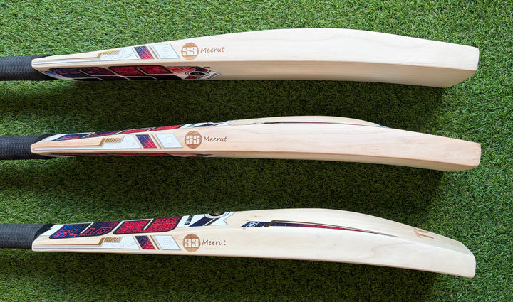 SS TON Gladiator Cricket Bat