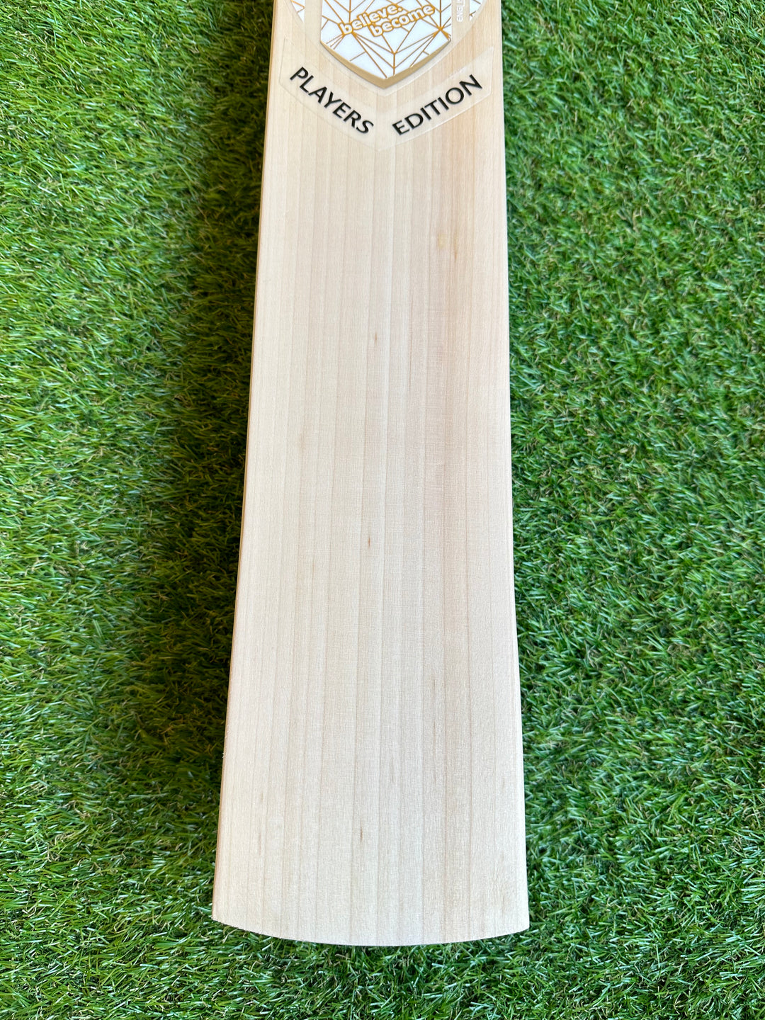 SG Players Edition Cricket Bat |  Size 6