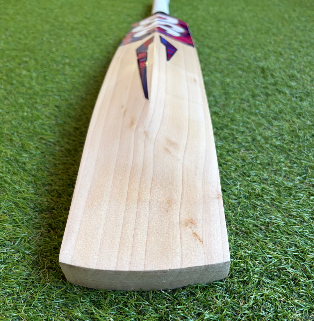 DSC Intense Passion Cricket Bat | Long Blade | 2lb 8oz