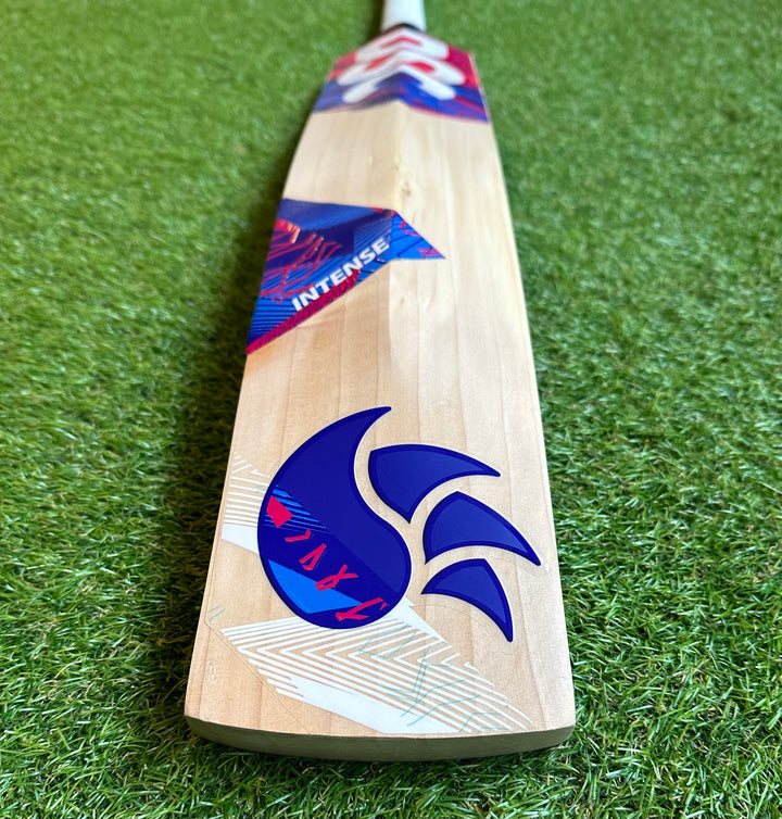 DSC Intense Rage Cricket Bat | 40mm Edges