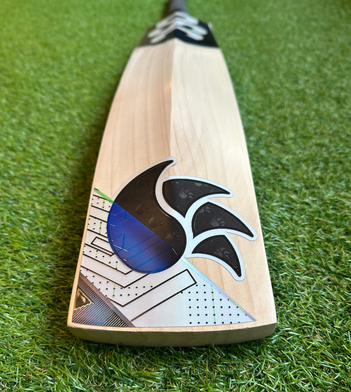 DSC Blak 400 Cricket Bat 